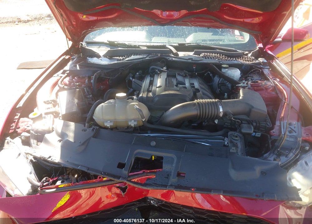 2019 FORD MUSTANG ECOBOOST PREMIUM VIN: 1FA6P8TH4K5129814