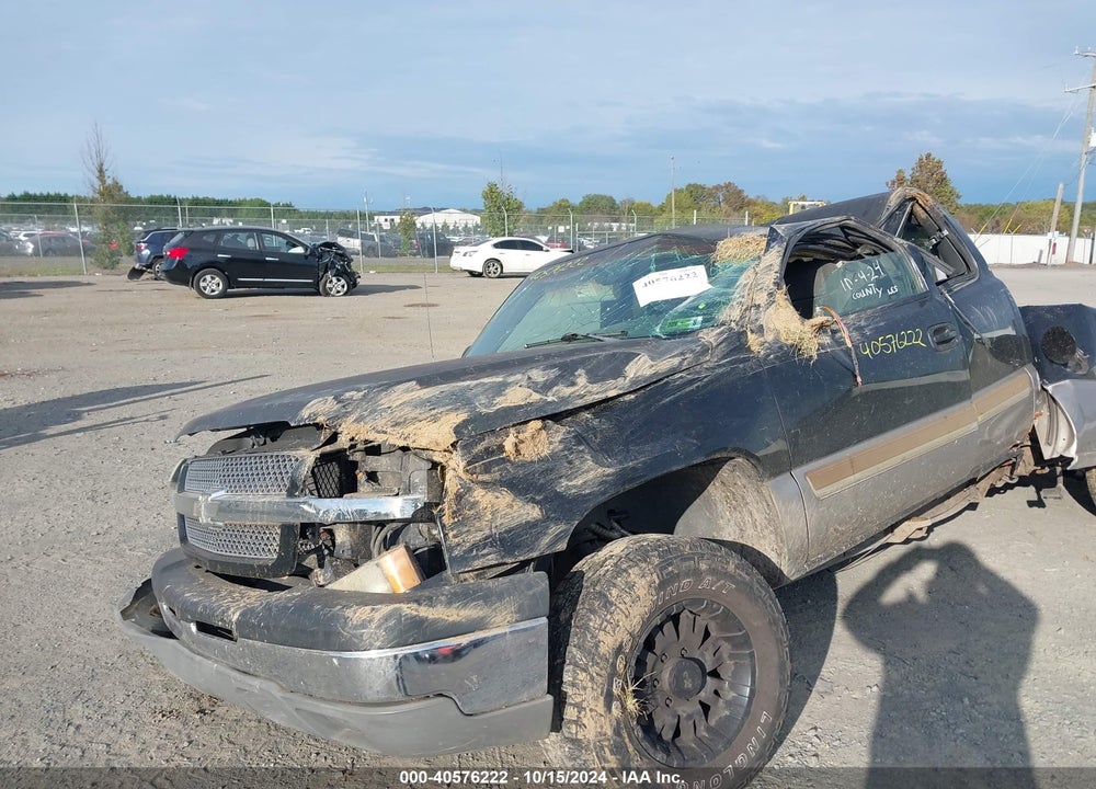 2003 CHEVROLET SILVERADO 1500 LS VIN: 2GCEK19T231172252