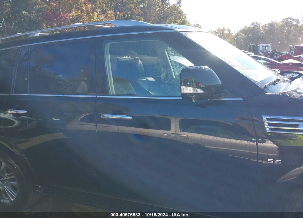 2018 INFINITI QX80 VIN: JN8AZ2NC4J9441303