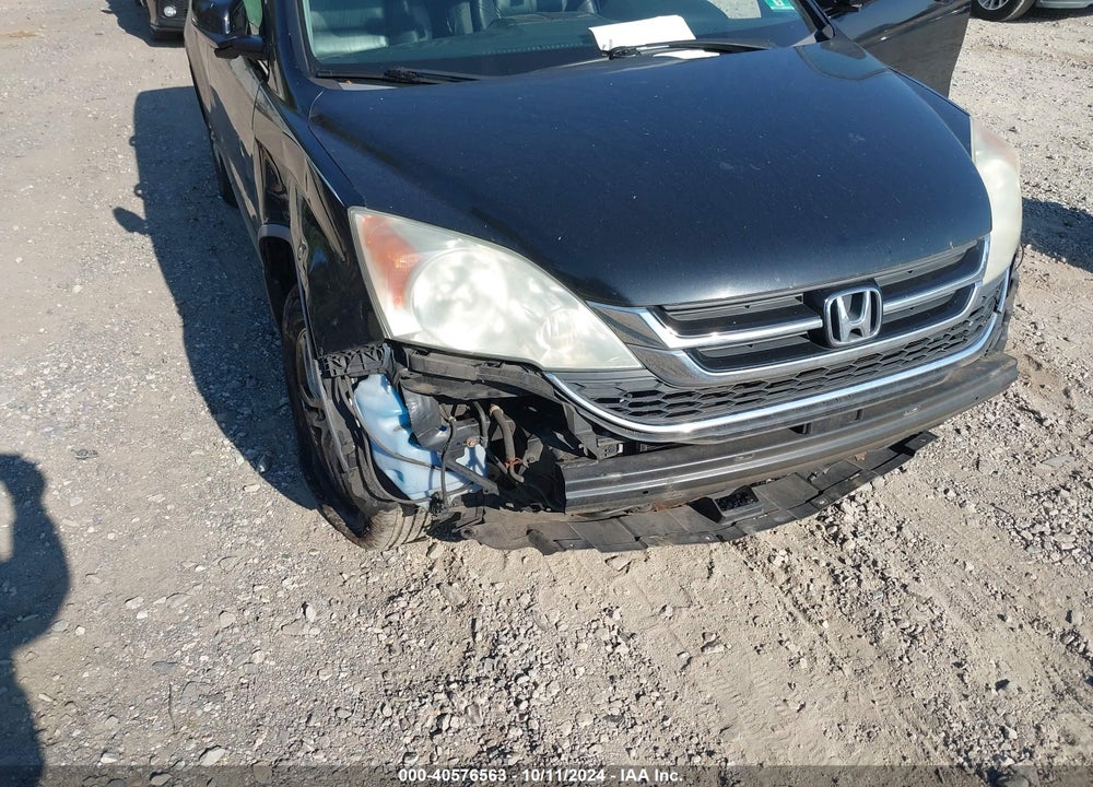 2010 HONDA CR-V EX-L VIN: 5J6RE4H71AL024948