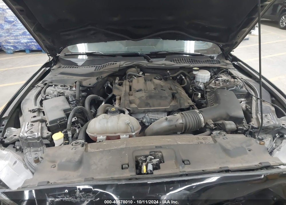 2019 FORD MUSTANG ECOBOOST VIN: 1FA6P8TH5K5188242