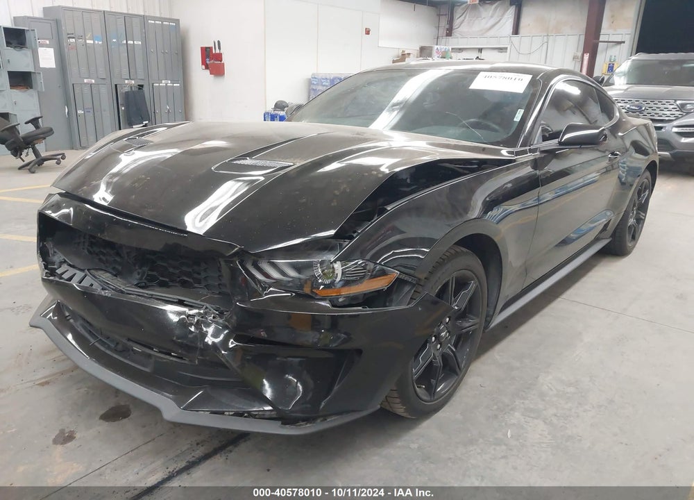 2019 FORD MUSTANG ECOBOOST VIN: 1FA6P8TH5K5188242