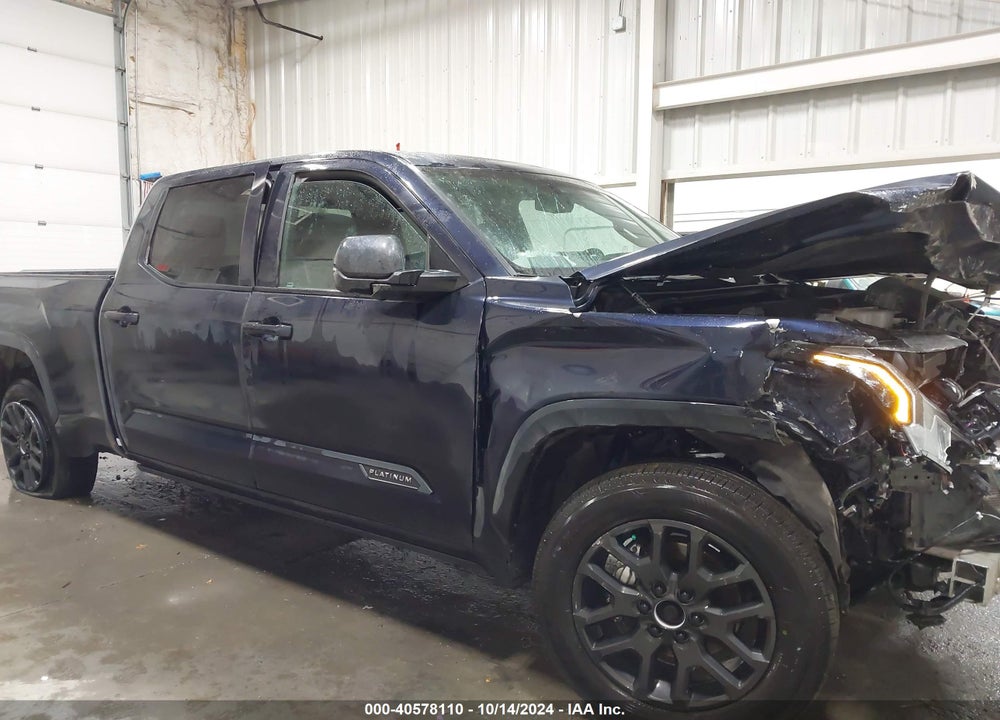 2024 TOYOTA TUNDRA PLATINUM VIN: 5TFNA5EC8RX023016