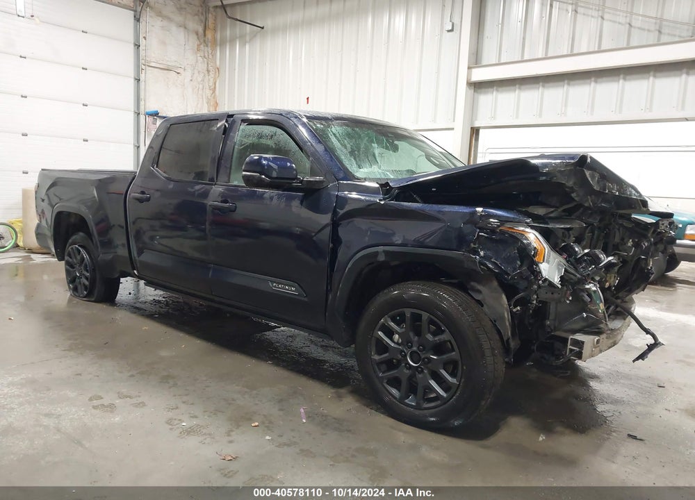 2024 TOYOTA TUNDRA PLATINUM VIN: 5TFNA5EC8RX023016