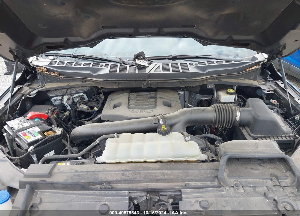 2021 FORD F-150 XLT VIN: 1FTFW1E89MFA20876