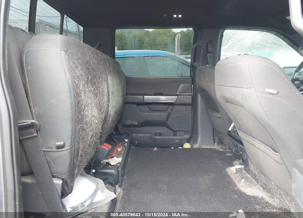 2021 FORD F-150 XLT VIN: 1FTFW1E89MFA20876