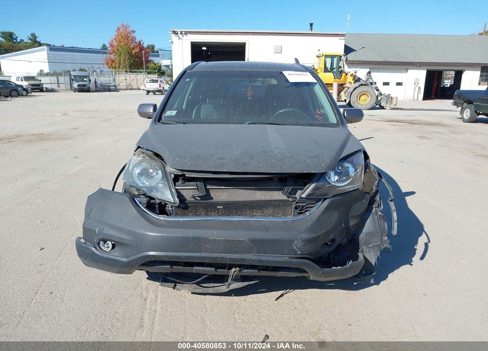 2010 HONDA CR-V EX-L VIN: 5J6RE4H75AL017985