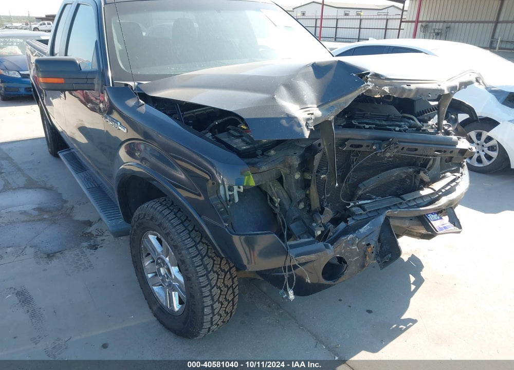 2010 FORD F-150 VIN: 1FTEX1C8XAKC34676