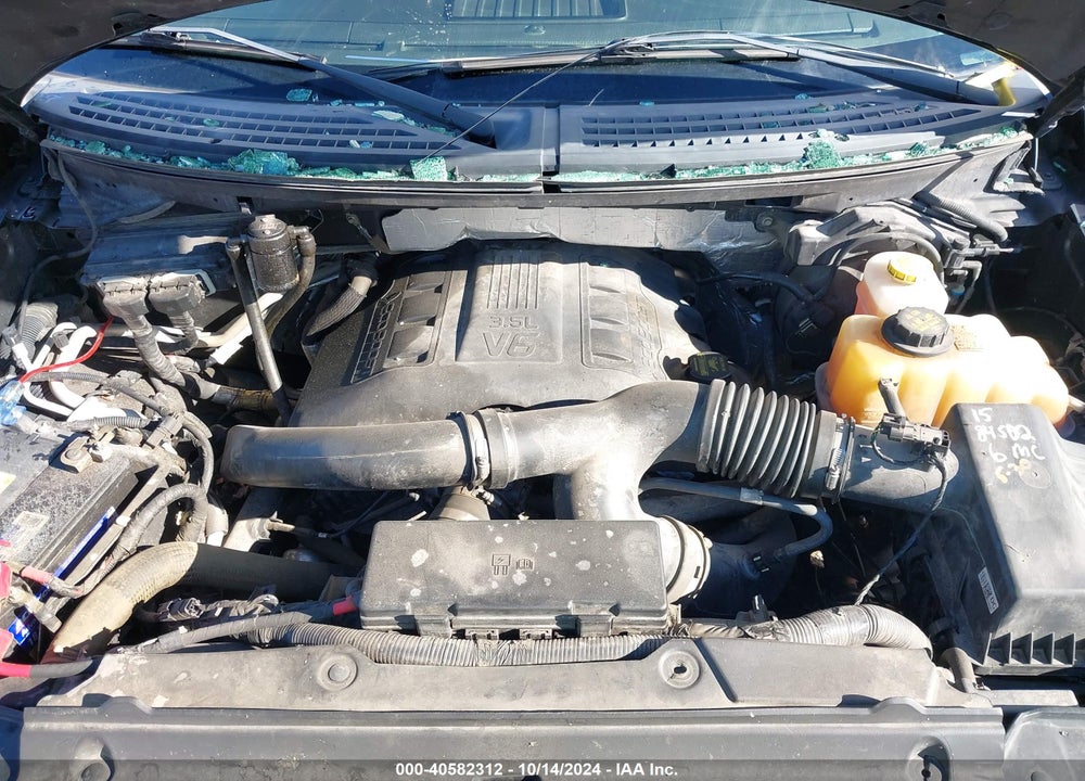 2013 FORD F-150 XLT VIN: 1FTFW1ET6DFD68879