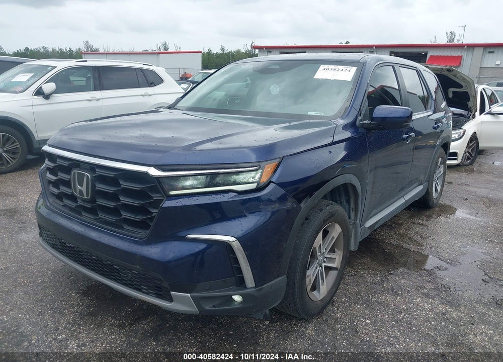 2024 HONDA PILOT EX-L 7-PASSENGER VIN: 5FNYG2H53RB012295