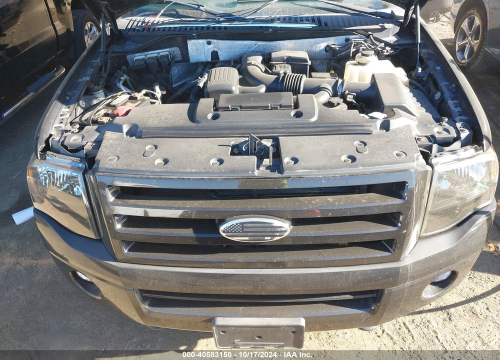2010 FORD EXPEDITION LIMITED VIN: 1FMJU2A59AEA17619
