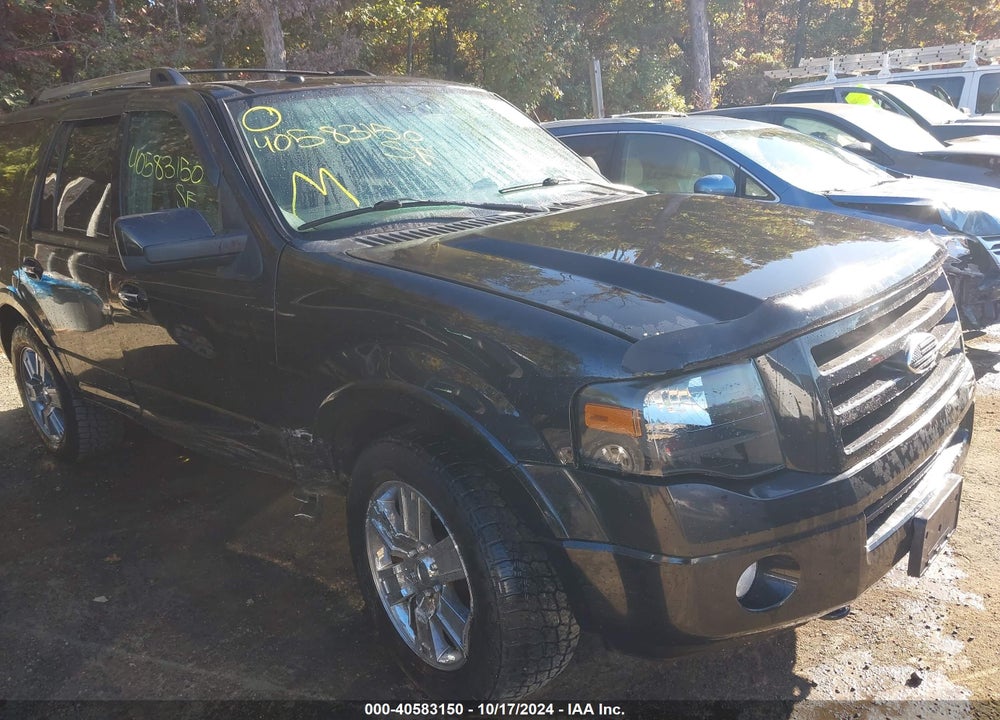 2010 FORD EXPEDITION LIMITED VIN: 1FMJU2A59AEA17619