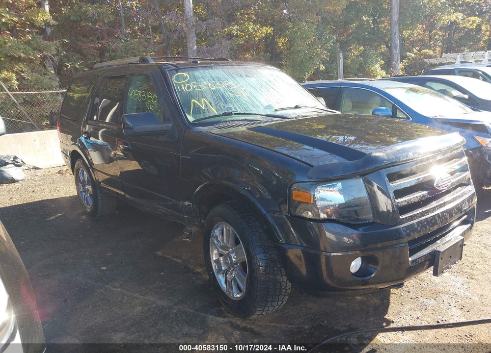 2010 FORD EXPEDITION LIMITED VIN: 1FMJU2A59AEA17619