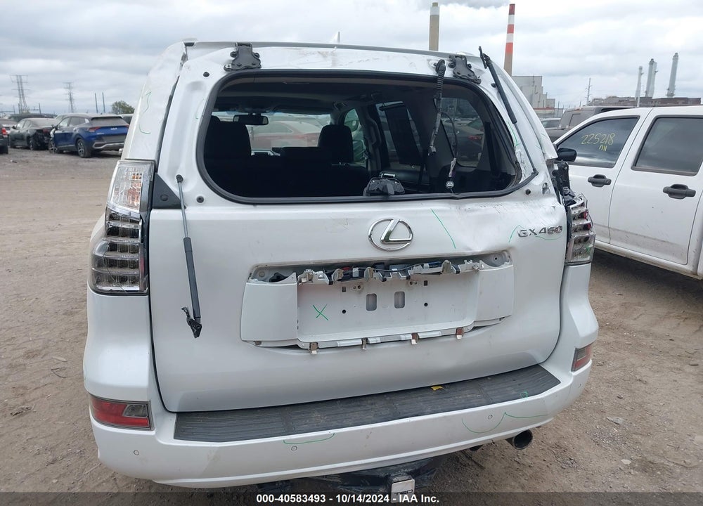 2018 LEXUS 460 VIN: JTJBM7FX9J5183393
