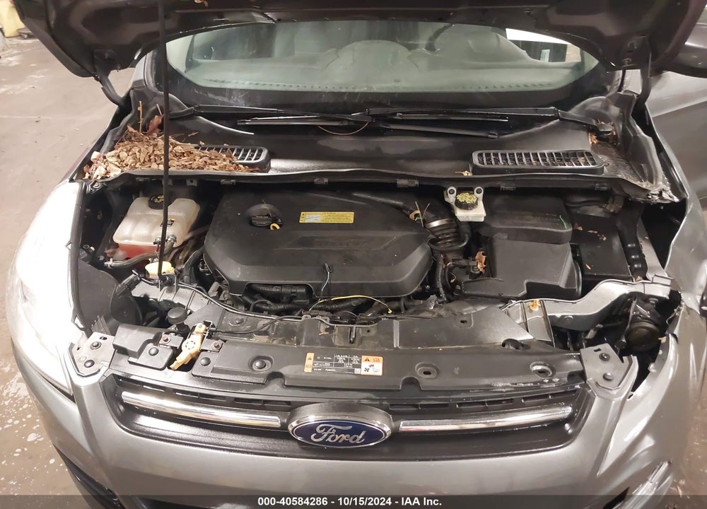 2013 FORD ESCAPE SE VIN: 1FMCU0GXXDUB31256