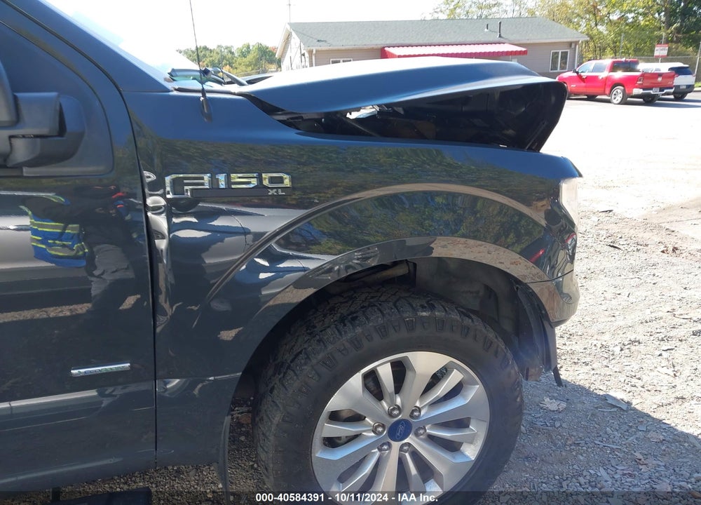 2016 FORD F-150 XL VIN: 1FTEX1EP8GFB67310