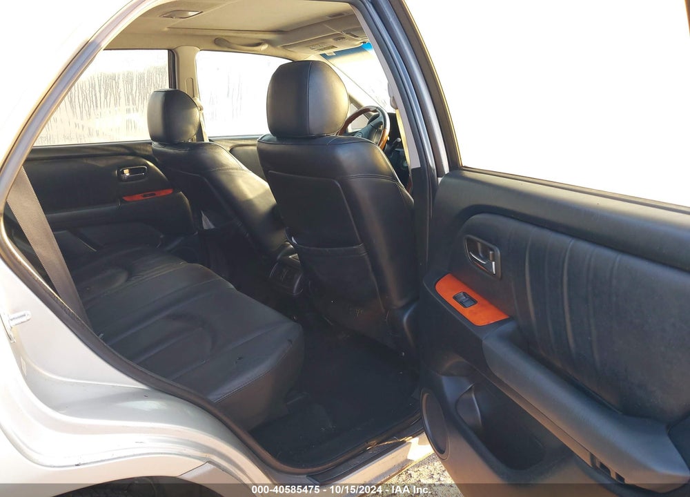 2002 LEXUS RX 300 VIN: JTJGF10U420122169