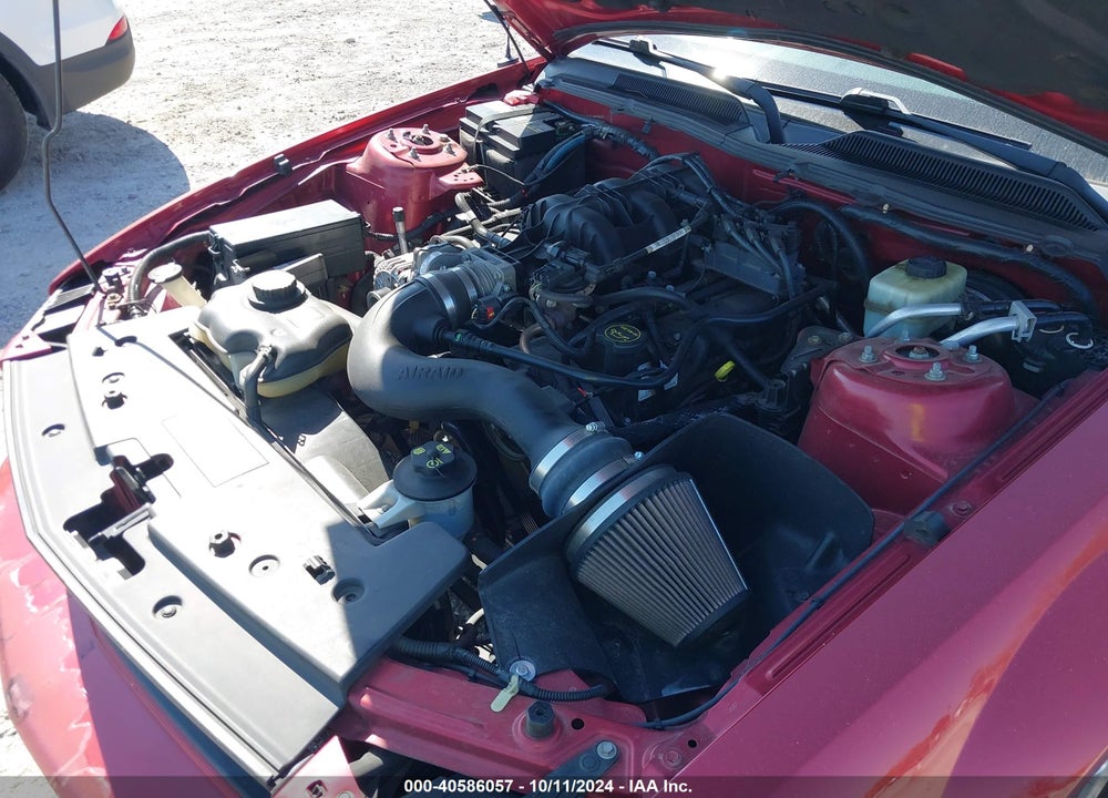 2006 FORD MUSTANG V6 VIN: 1ZVFT80N065223319