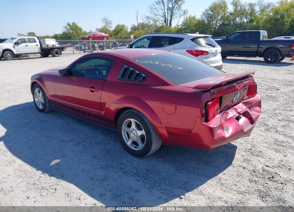 2006 FORD MUSTANG V6 VIN: 1ZVFT80N065223319