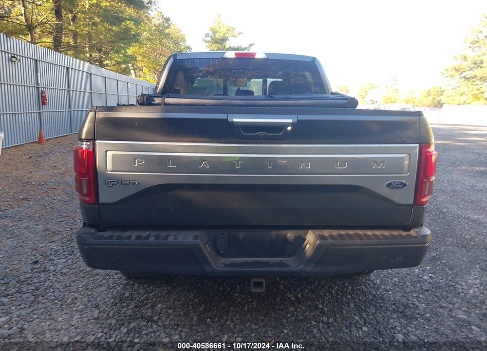 2015 FORD F150 VIN: 1FTEW1EG8FFC02137