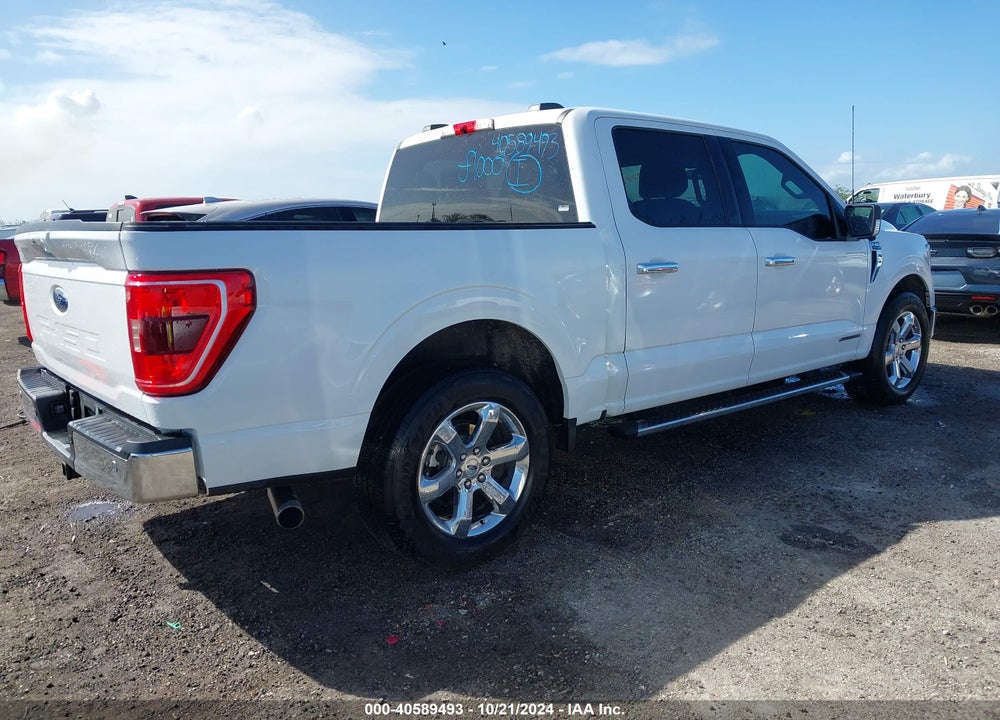 2021 FORD F-150 XLT VIN: 1FTFW1CD4MFC00511
