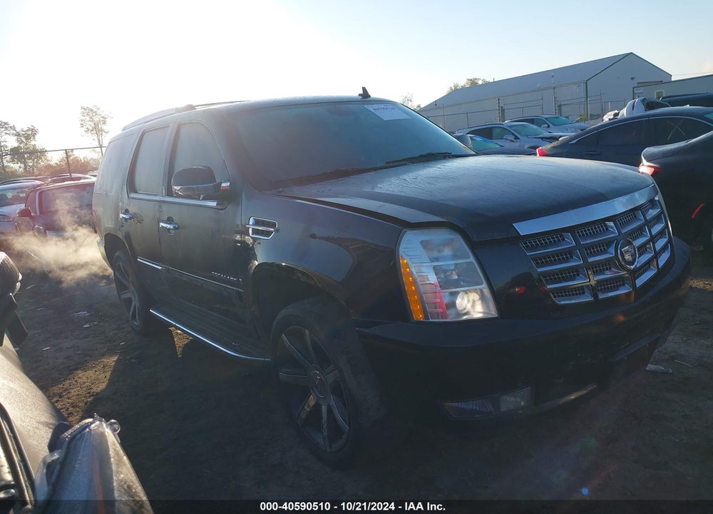 2007 CADILLAC ESCALADE STANDARD VIN: 1GYFK638X7R279482