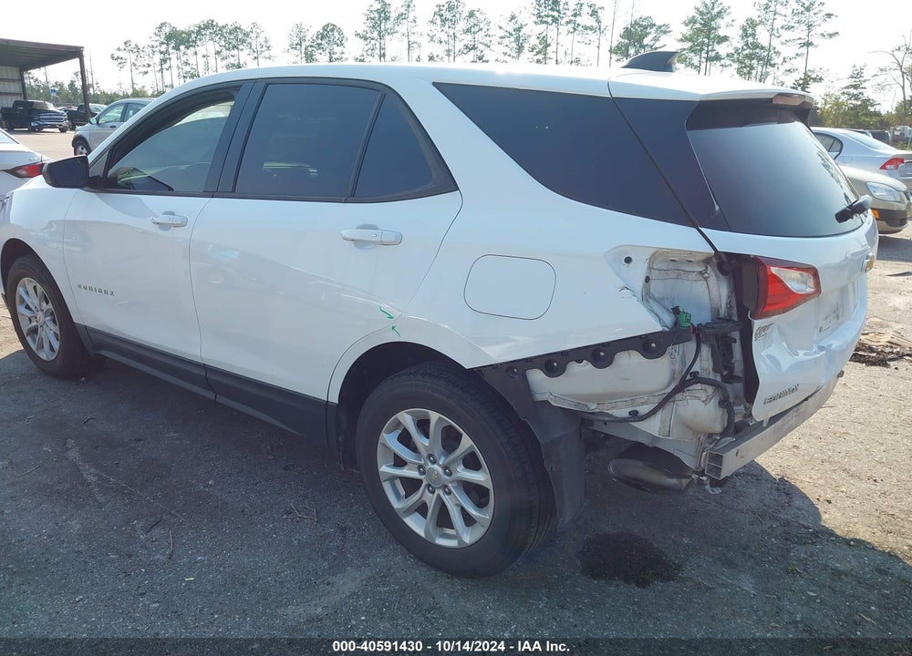 2019 CHEVROLET EQUINOX LS VIN: 2GNAXHEV0K6261987