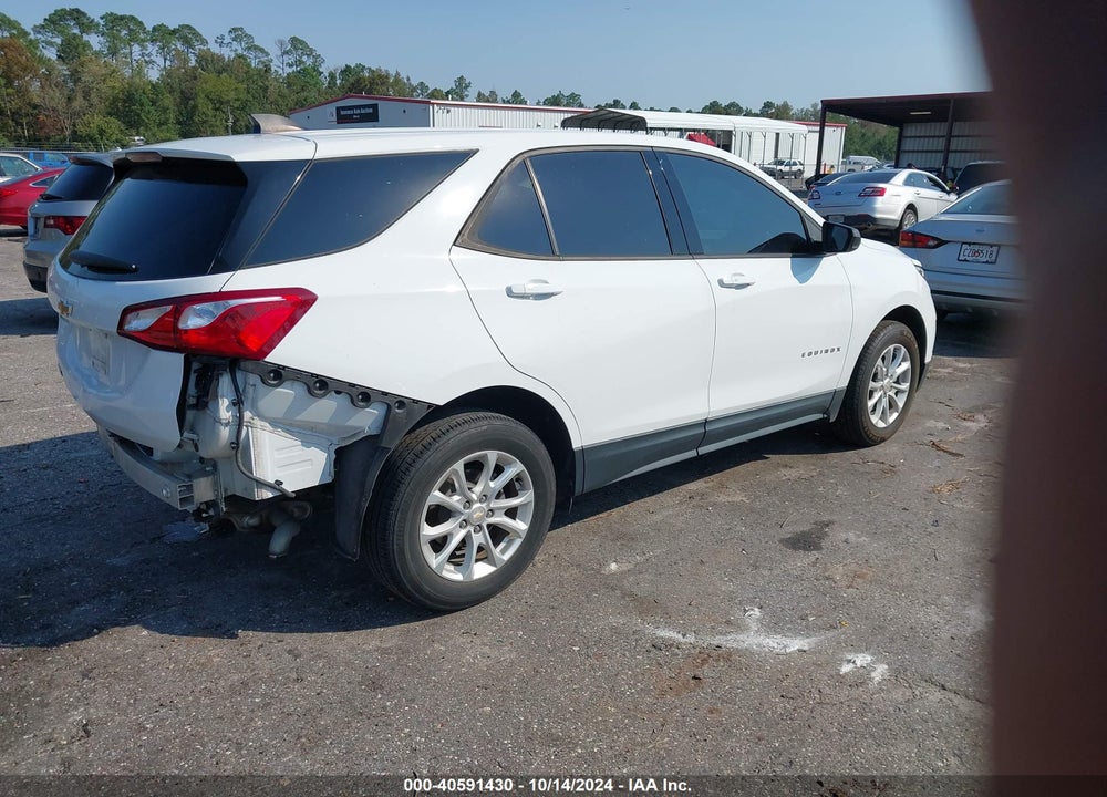 2019 CHEVROLET EQUINOX LS VIN: 2GNAXHEV0K6261987