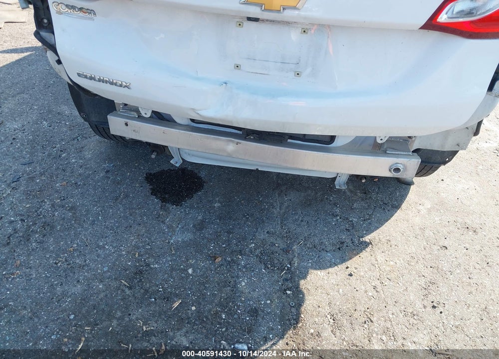 2019 CHEVROLET EQUINOX LS VIN: 2GNAXHEV0K6261987