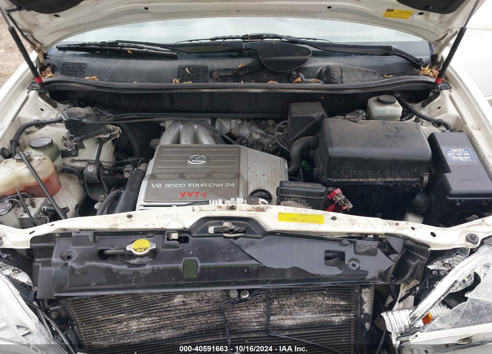 2001 LEXUS RX 300 VIN: JTJHF10U410199160