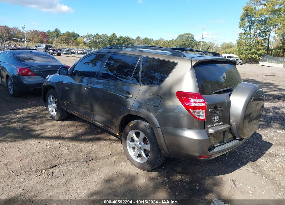2010 TOYOTA RAV4 VIN: JTMDK4DV6AD017419