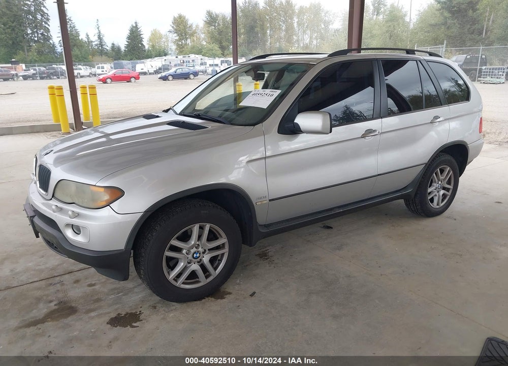 2006 BMW X5 3.0I VIN: 5UXFA135X6LY38207