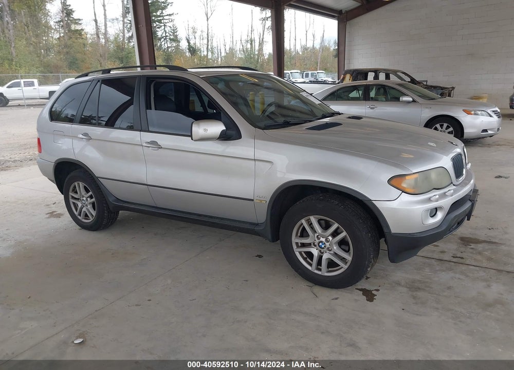 2006 BMW X5 3.0I VIN: 5UXFA135X6LY38207