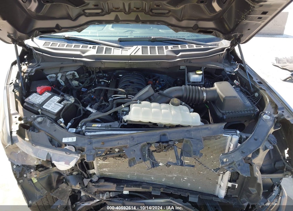 2023 FORD F-150 XL VIN: 1FTFW1E55PKE77735