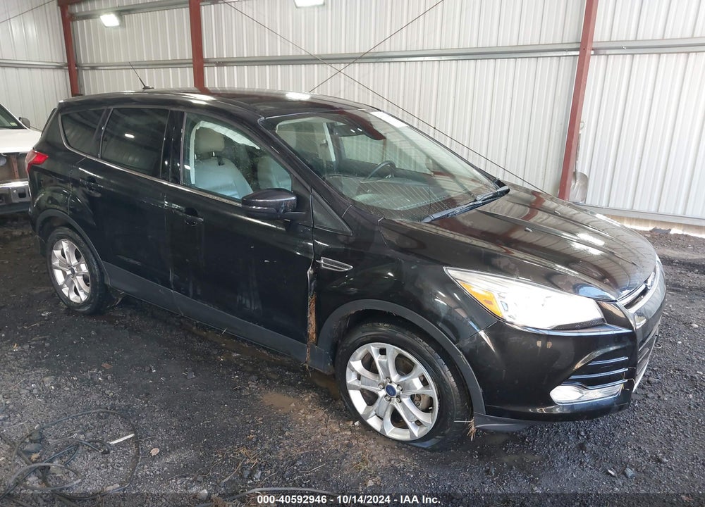 2013 FORD ESCAPE SEL VIN: 1FMCU0HX5DUD12019