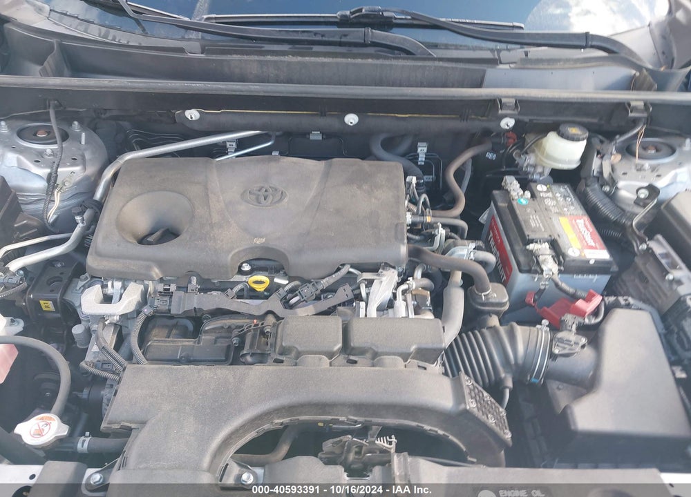 2019 TOYOTA RAV4 XLE PREMIUM VIN: JTMA1RFV3KD510282