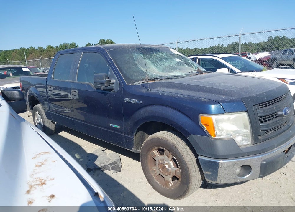 2013 FORD F-150 XL VIN: 1FTFW1CT8DKG41900