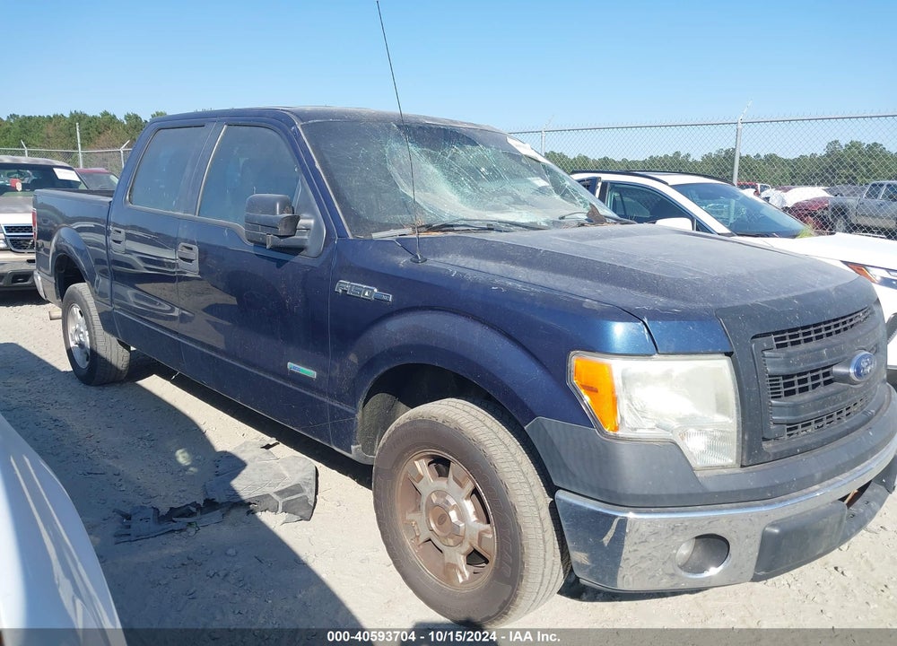2013 FORD F-150 XL VIN: 1FTFW1CT8DKG41900