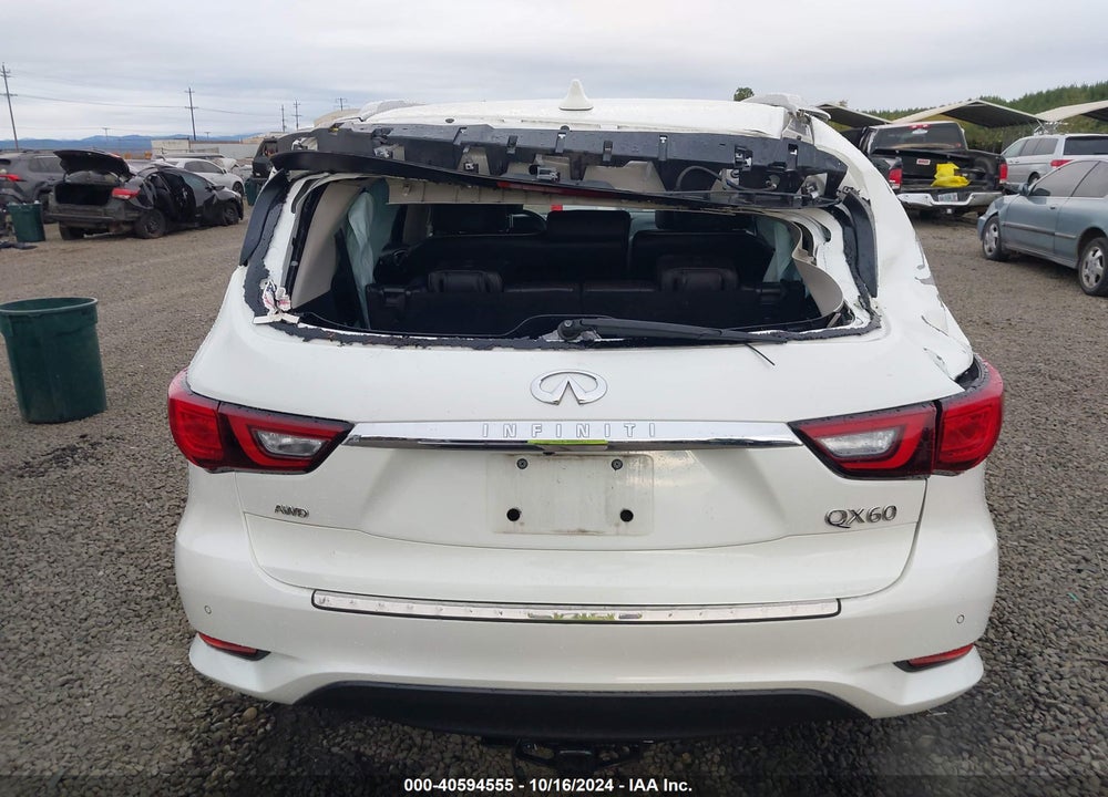2019 INFINITI QX60 LUXE VIN: 5N1DL0MM4KC566066