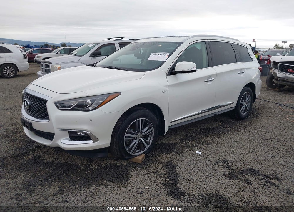 2019 INFINITI QX60 LUXE VIN: 5N1DL0MM4KC566066