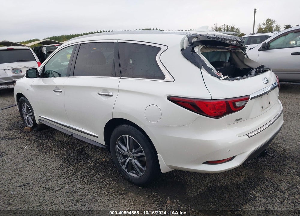 2019 INFINITI QX60 LUXE VIN: 5N1DL0MM4KC566066