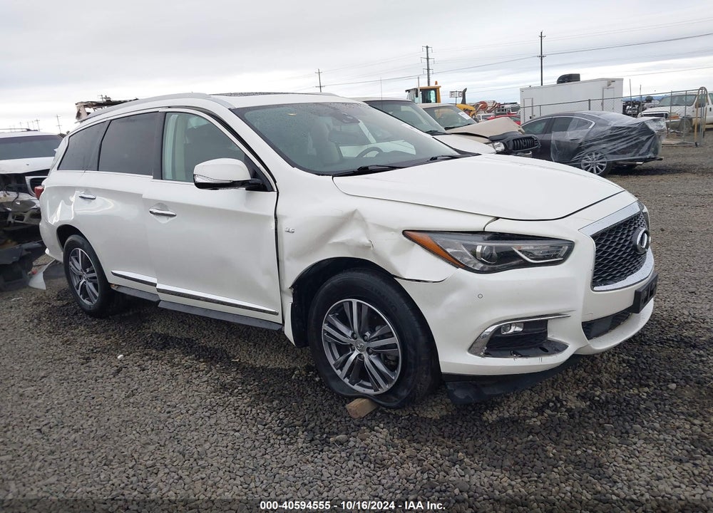 2019 INFINITI QX60 LUXE VIN: 5N1DL0MM4KC566066