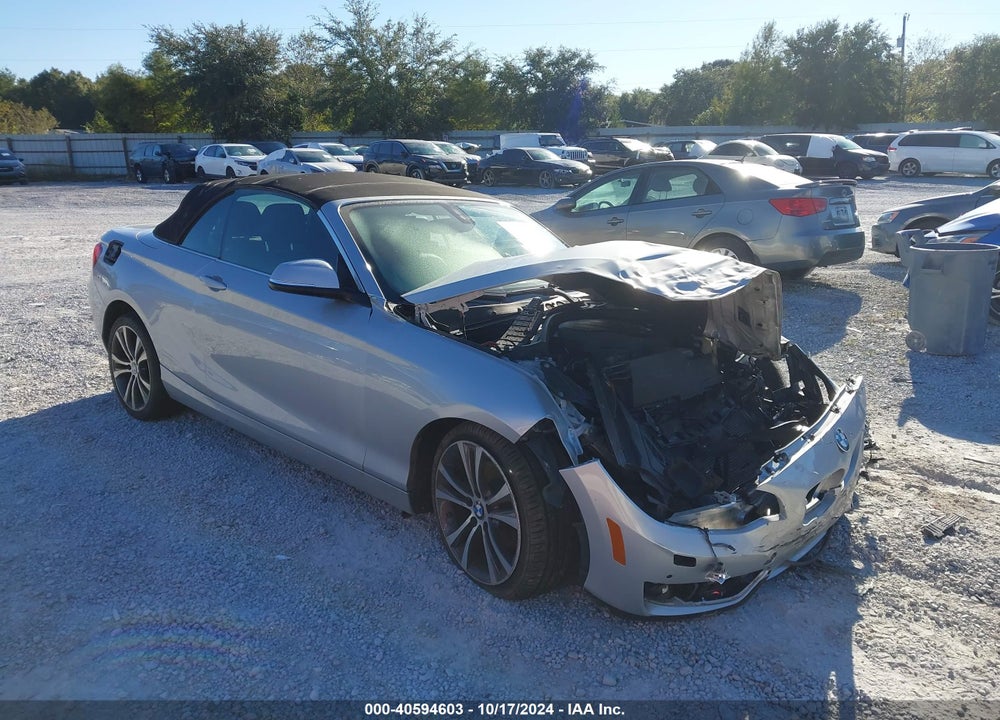 2016 BMW 228I XDRIVE VIN: WBA1L9C54GV324697