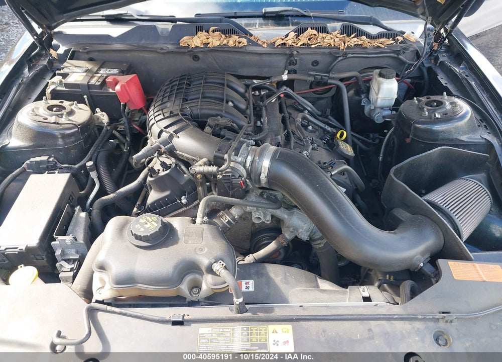 2012 FORD MUSTANG V6 PREMIUM VIN: 1ZVBP8AM1C5216092