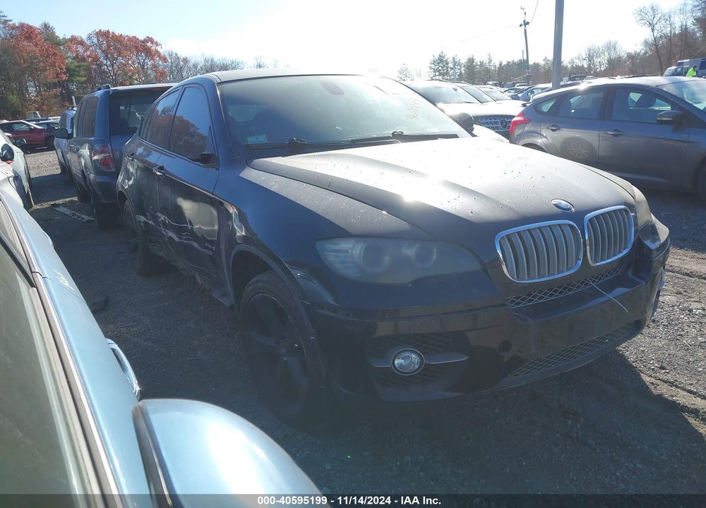 2009 BMW X6 XDRIVE50I VIN: 5UXFG83579LZ93549