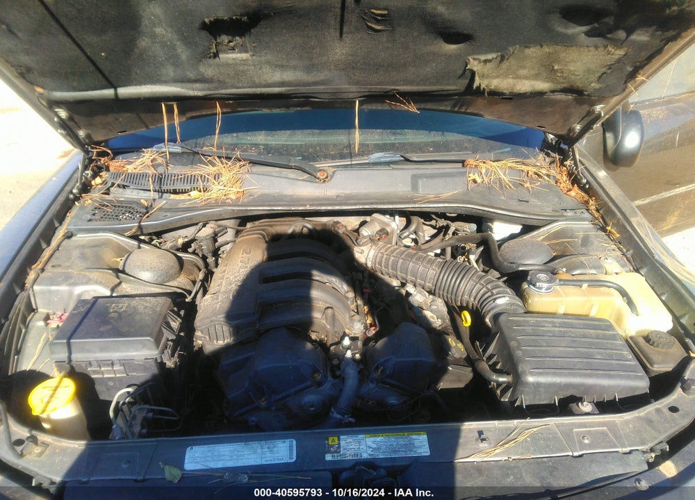2009 DODGE CHARGER SE VIN: 2B3KA43D99H593430