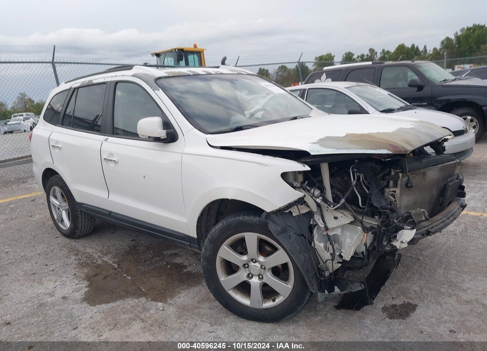 2009 HYUNDAI SANTA FE LIMITED VIN: 5NMSH13E29H289071