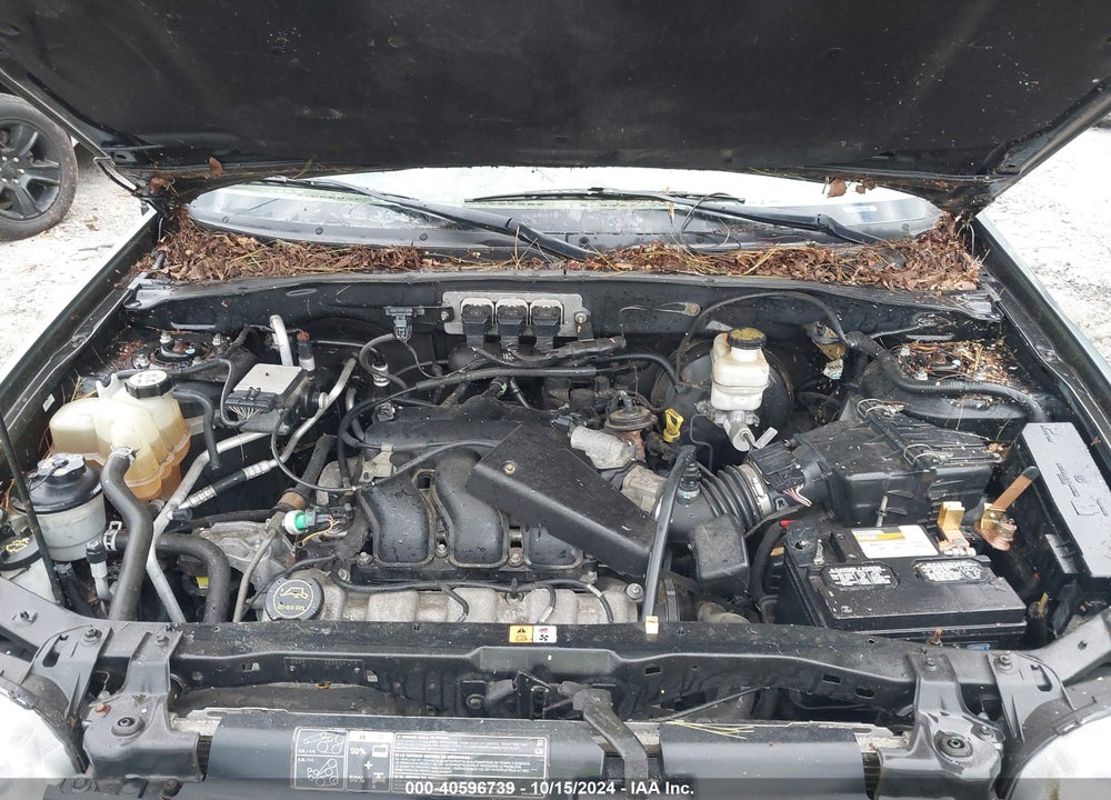 2005 FORD ESCAPE XLT VIN: 1FMYU03155KB07306