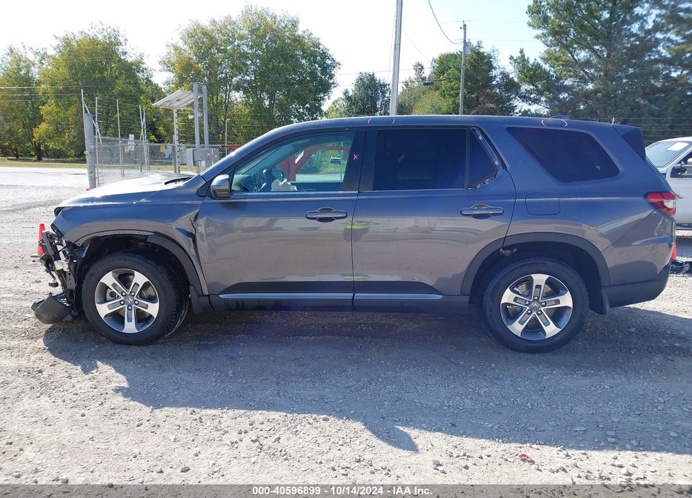 2025 HONDA PILOT EX-L VIN: 5FNYG1H41SB046582