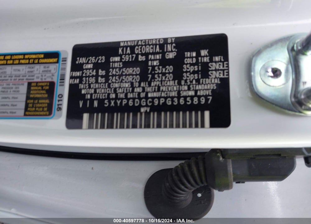2023 KIA TELLURIDE S VIN: 5XYP6DGC9PG365897